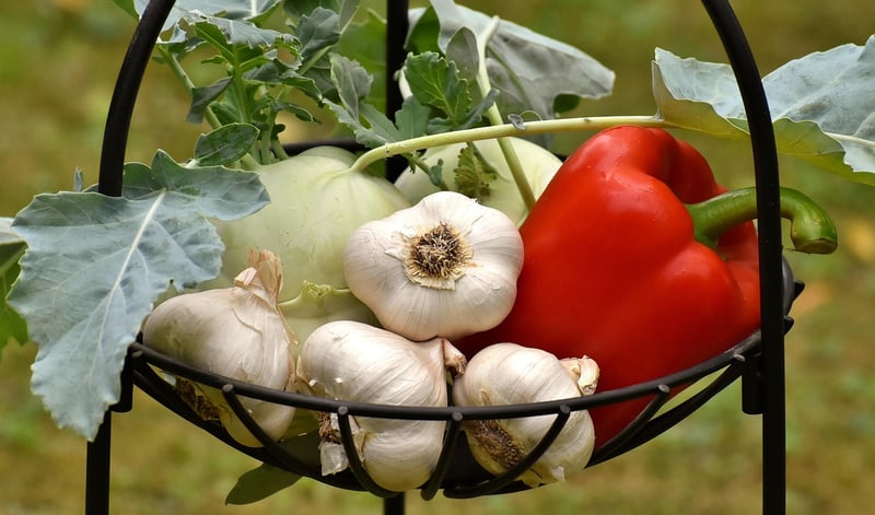 Nutrient-Rich Vegetables